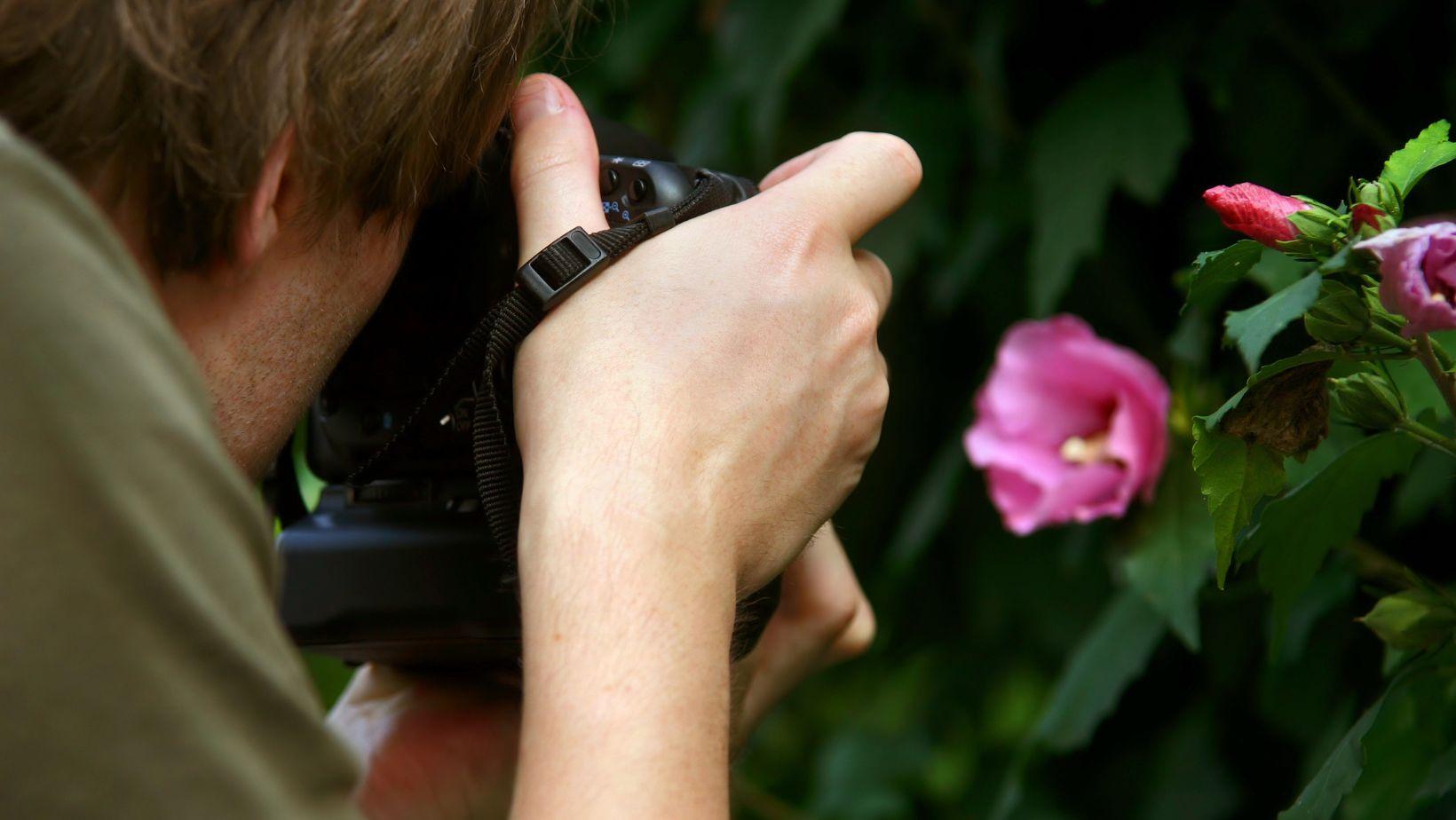 Nature photography June