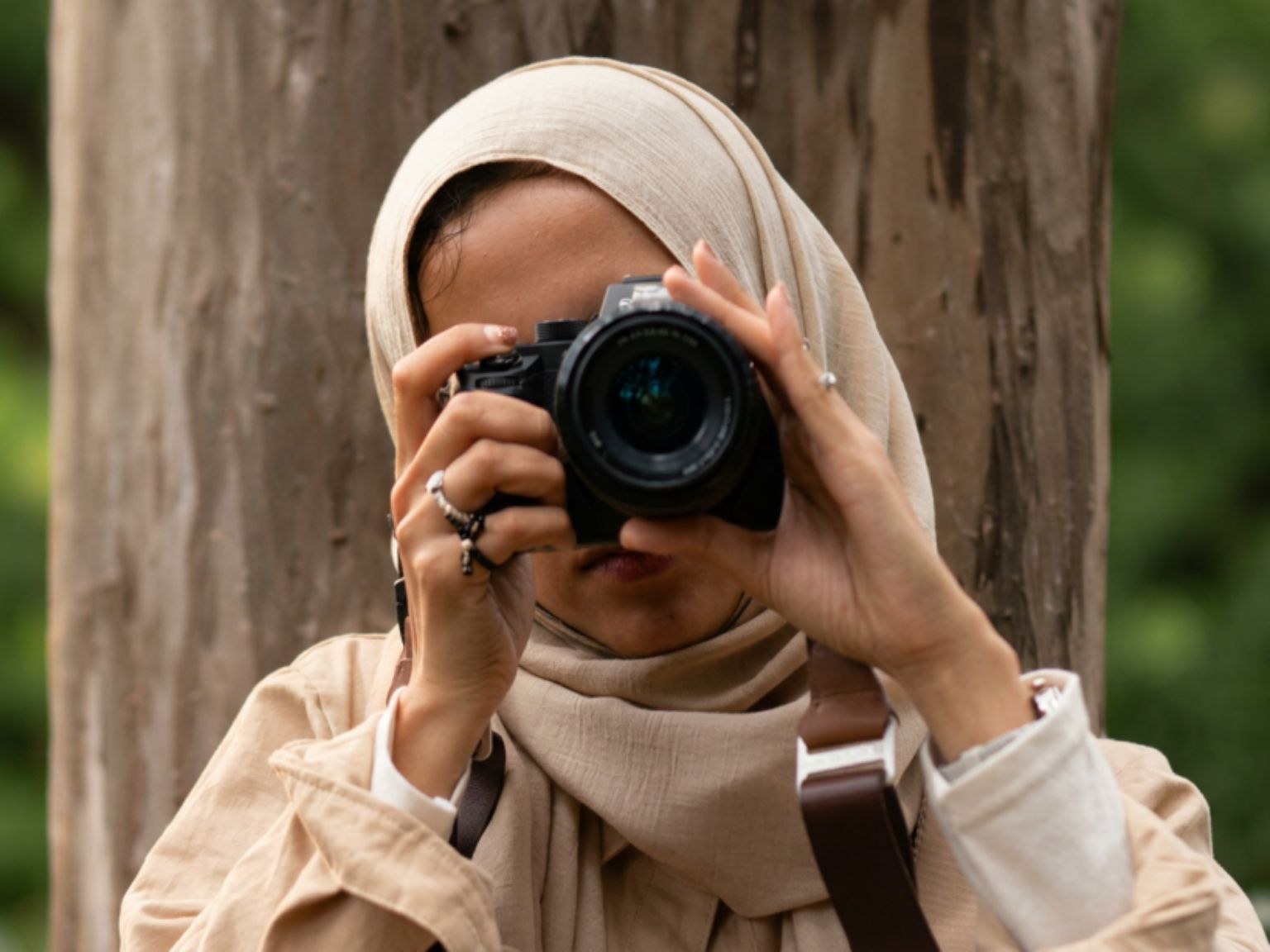 Photograph step by step