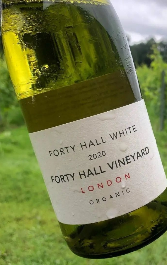 Forty hall vineyard